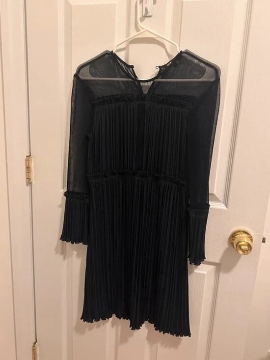 Maje Dresses & Skirts - Maje Black Pleated Sheer Mini Dress – FR 1
